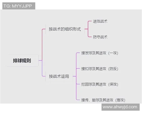 排球新手必看:从基础到战术的全面入门指南与技巧分享