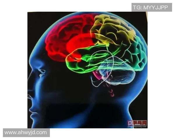 深度分析深圳乒乓球队防反打法的战术特点与应用策略