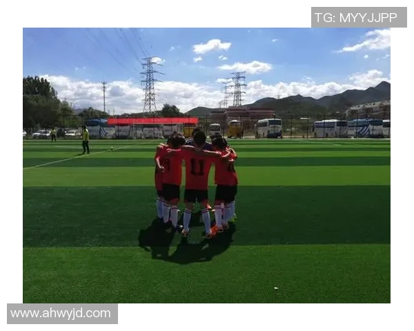 足球钢脚的传奇之路与技术解析让我们一起领略足球的魅力与激情